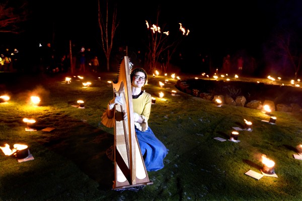 FREE PIC- Burns Fire And Light Fest Alloway 04